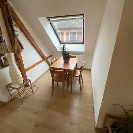 P55 3 Pieces Lumineux Et Calme Sur Les Toits Location Mobilite 1 Mois Minimum Apartamento