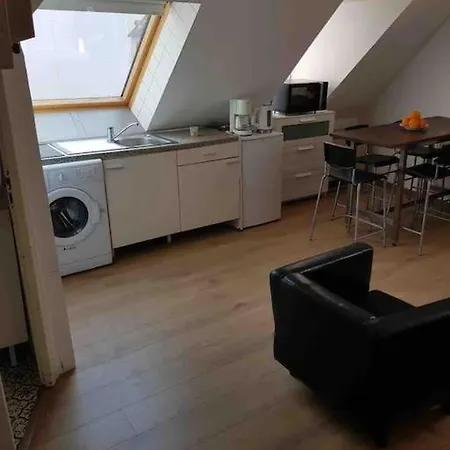 P55 3 Pieces Lumineux Et Calme Sur Les Toits Location Mobilite 1 Mois Minimum Apartamento Estrasburgo